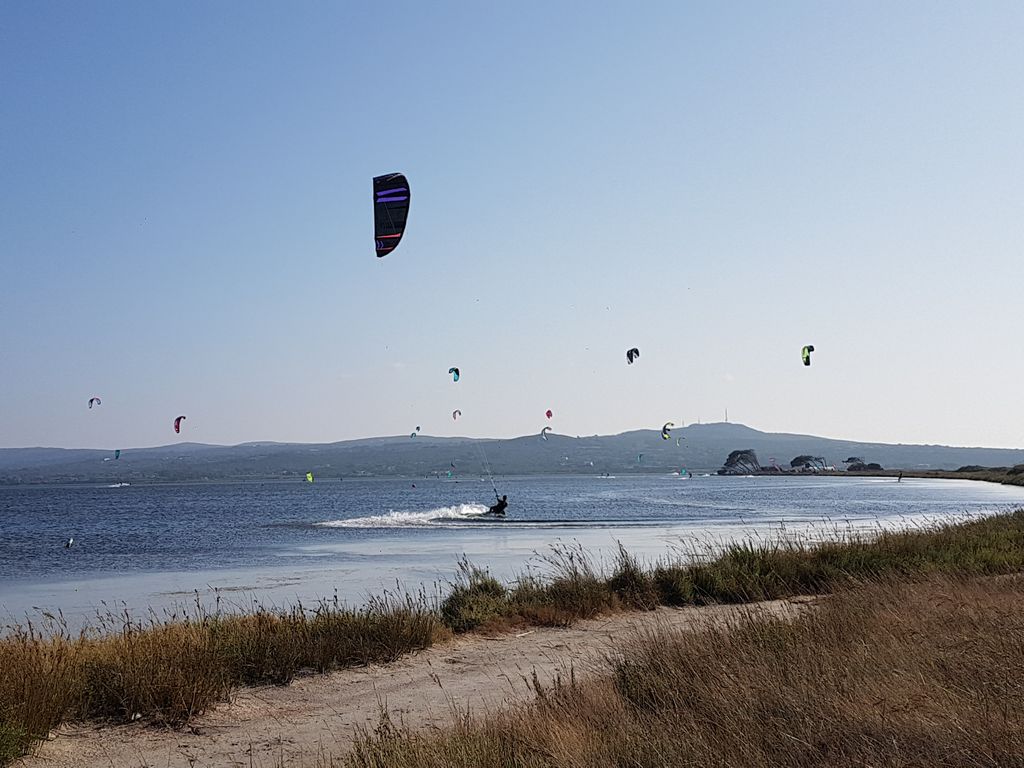 Multiple kites in action on the water